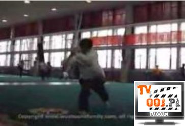 Wushu Trailer