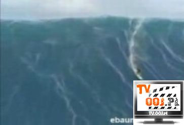 Tsunami Surfer