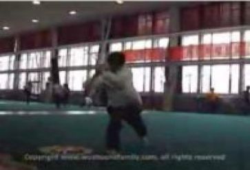 Wushu Trailer